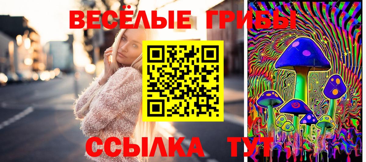 Городец  Псилоцибиновые грибы GOLDEN TEACHER  Вход с VPN 