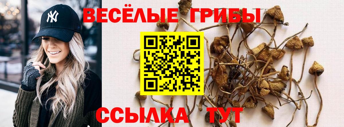 Псилоцибиновые грибы мухоморы Городец